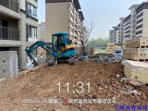 西安工地:土方回填,树木种植_公司动态_上海燕青园林工程有限公司